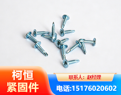 天津华司钻尾丝