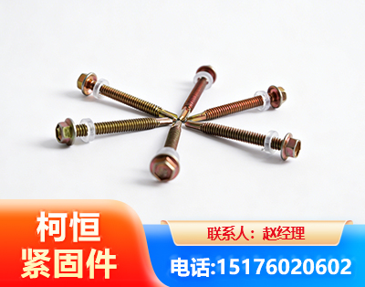 天津六角钻尾丝