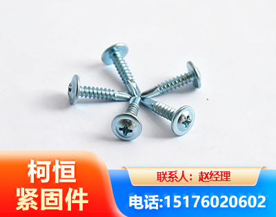 天津华司钻尾丝