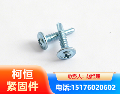 天津华司钻尾丝