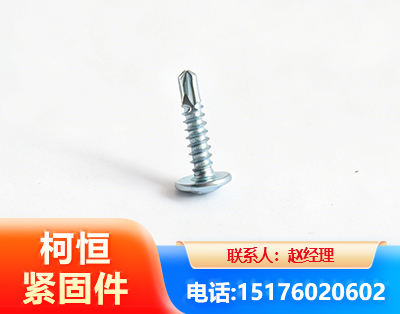 天津华司钻尾丝